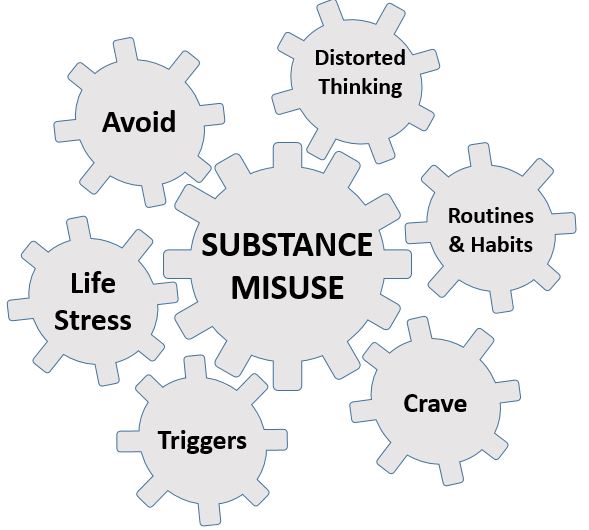 Vicious cogs of substance misuse